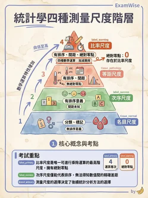 營養 - 問卷設計與信效度 - AI 圖文解析預覽