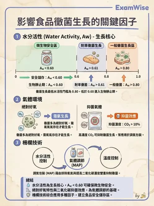 營養 - 食品腐敗微生物學 - AI 圖文解析預覽