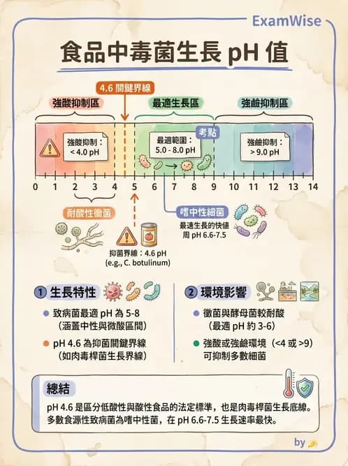 營養 - 食品腐敗微生物學 - AI 圖文解析預覽