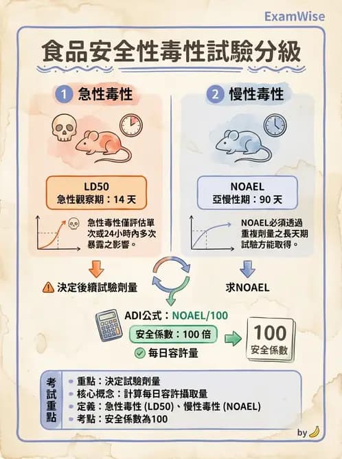 營養 - 食品安全性評估 - AI 圖文解析預覽