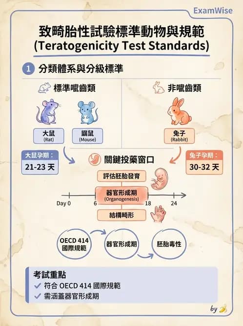 營養 - 食品安全性評估 - AI 圖文解析預覽