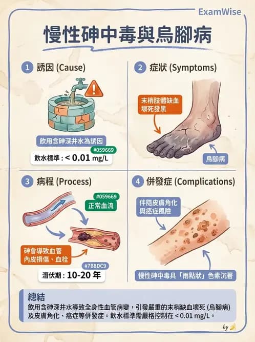 營養 - 化學性危害 - AI 圖文解析預覽