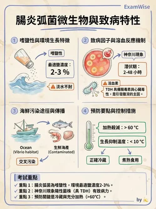 營養 - 食源性病原微生物 - AI 圖文解析預覽