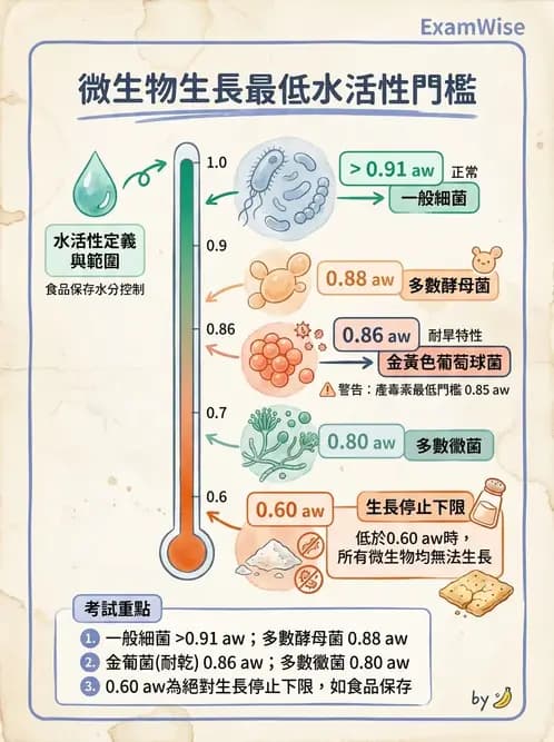 營養 - 食源性病原微生物 - AI 圖文解析預覽
