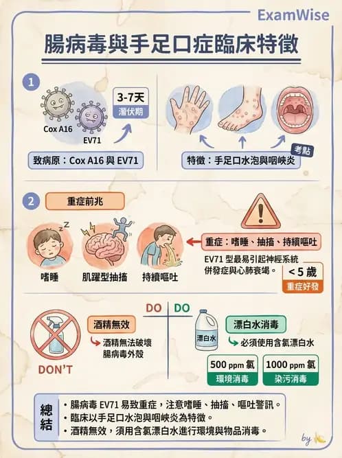 營養 - 食源性病原微生物 - AI 圖文解析預覽