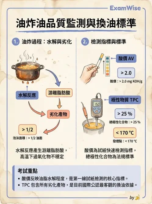 營養 - 當代營養學相關議題 - AI 圖文解析預覽