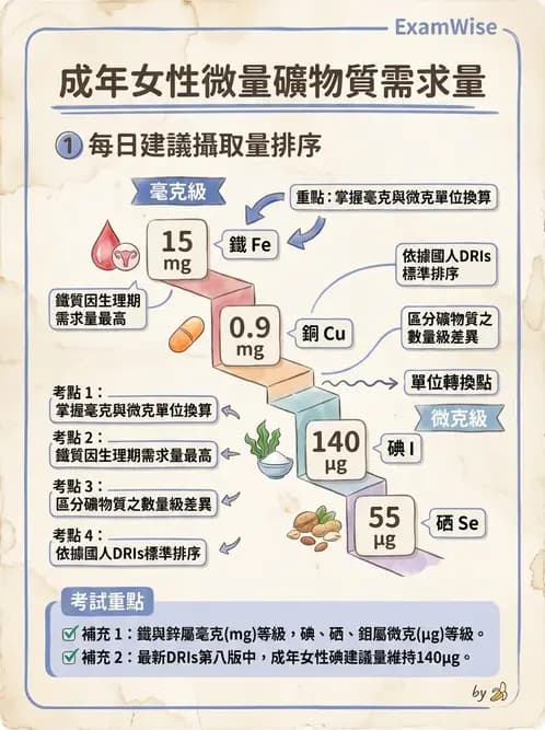 營養 - 鐵營養與貧血 - AI 圖文解析預覽