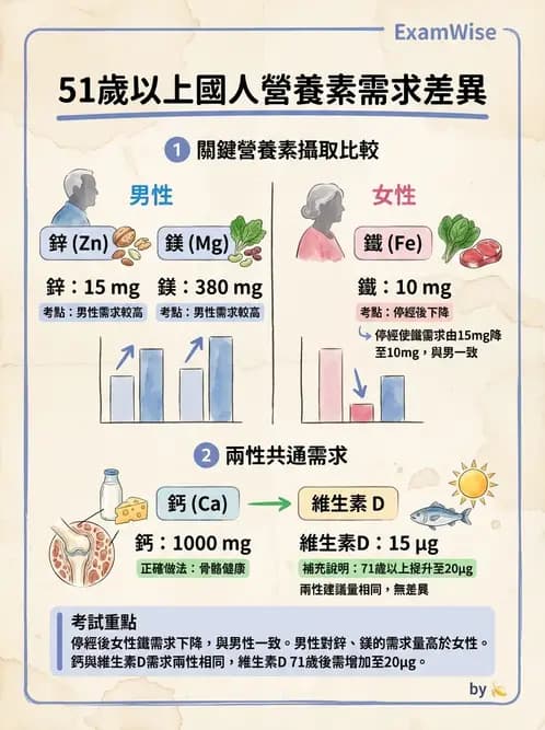 營養 - 兒童青少年與老年營養 - AI 圖文解析預覽
