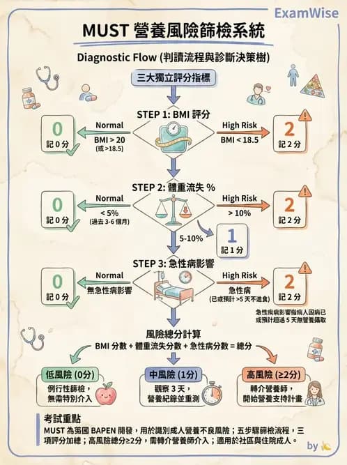 營養 - 營養評估與照護程序 - AI 圖文解析預覽