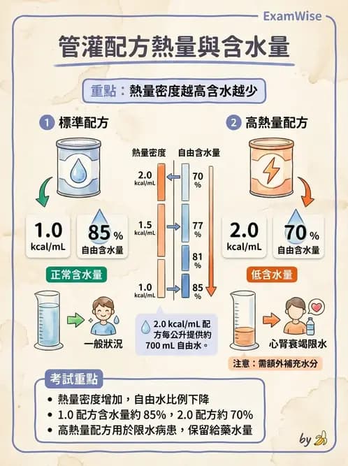 營養 - 營養支持 - AI 圖文解析預覽