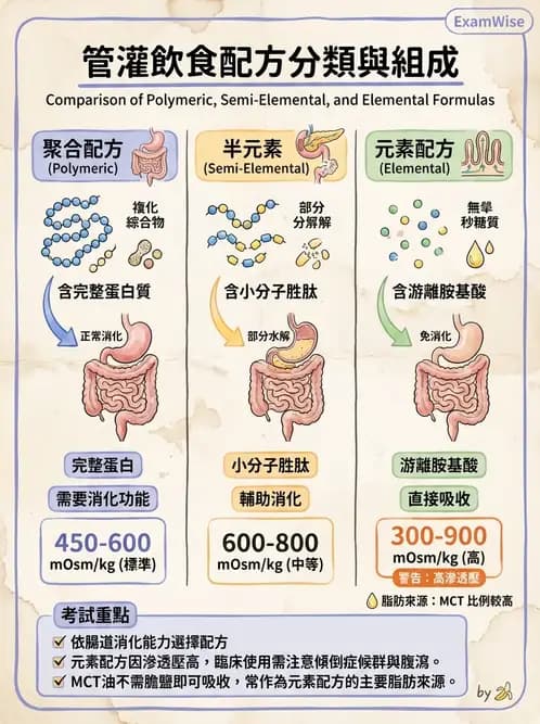 營養 - 營養支持 - AI 圖文解析預覽