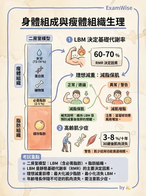營養 - 體重管理與攝食異常 - AI 圖文解析預覽