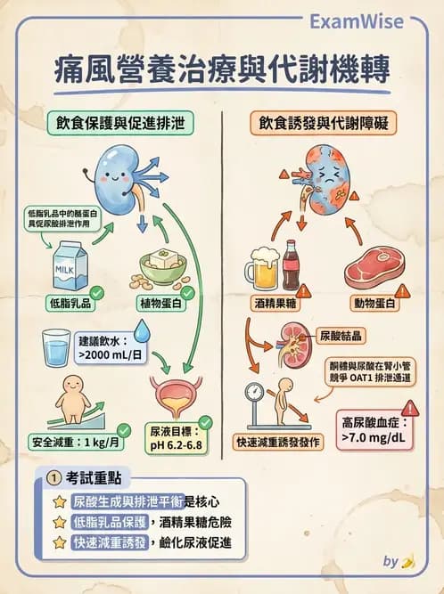 營養 - 骨骼與關節疾病 - AI 圖文解析預覽