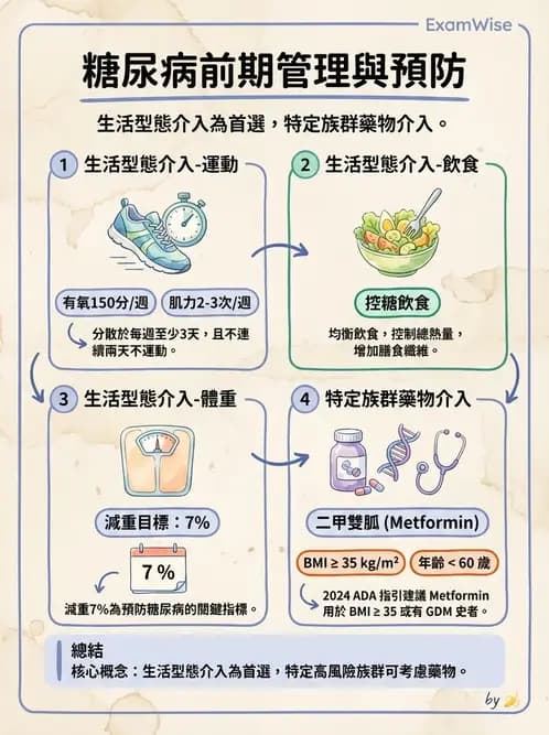 營養 - 糖尿病與代謝症候群 - AI 圖文解析預覽