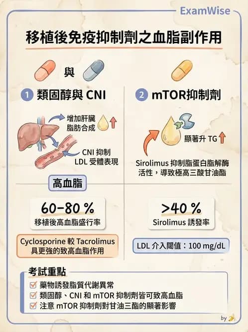 營養 - 腎臟疾病飲食治療 - AI 圖文解析預覽