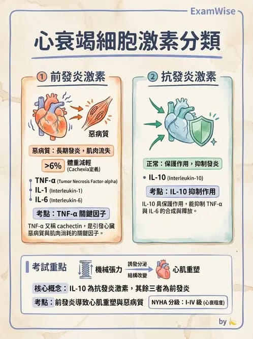 營養 - 心臟衰竭、移植與血脂管理 - AI 圖文解析預覽
