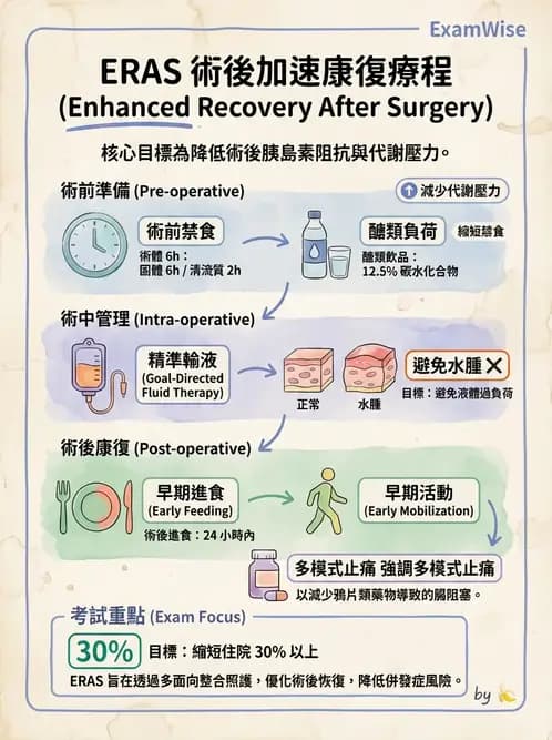 營養 - 燒燙傷與外傷重症營養 - AI 圖文解析預覽