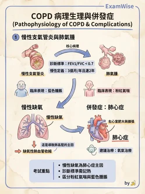 營養 - 呼吸系統疾病 - AI 圖文解析預覽