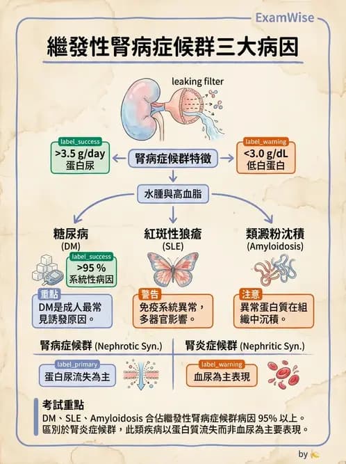營養 - 腎臟疾病飲食治療 - AI 圖文解析預覽