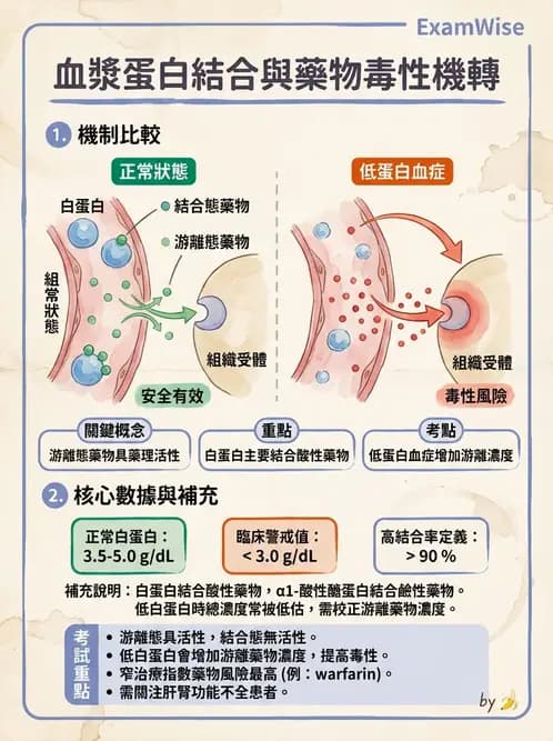 營養 - 營養評估與照護程序 - AI 圖文解析預覽