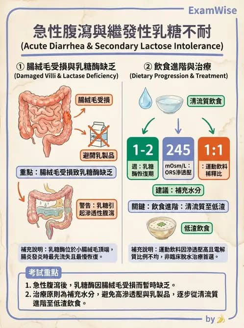 營養 - 腸胃道疾病 - AI 圖文解析預覽