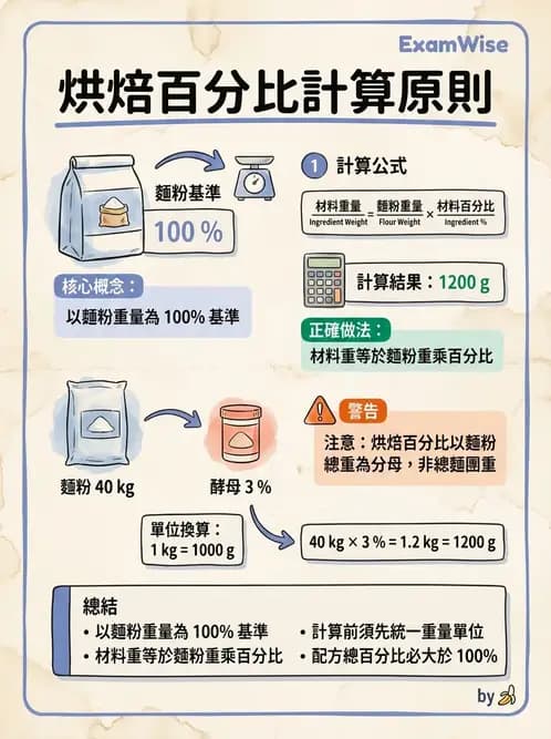 營養 - 穀類、澱粉與麵粉製備原理 - AI 圖文解析預覽