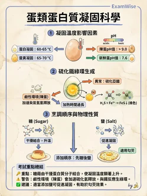 營養 - 動植物性食材製備原理 - AI 圖文解析預覽