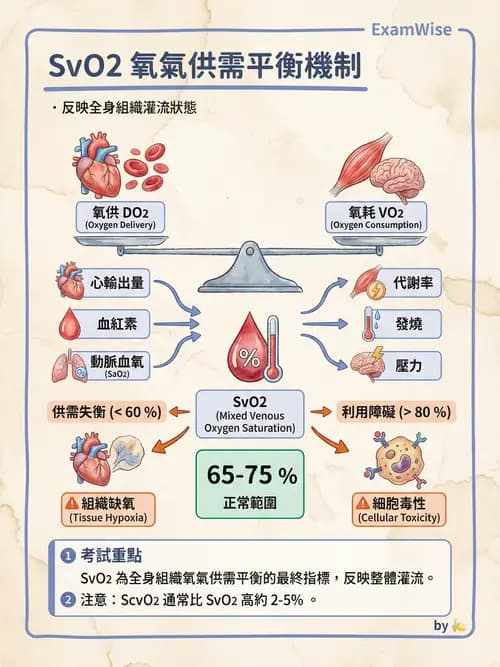 專師 - 休克分類與血行動力學 - AI 圖文解析預覽
