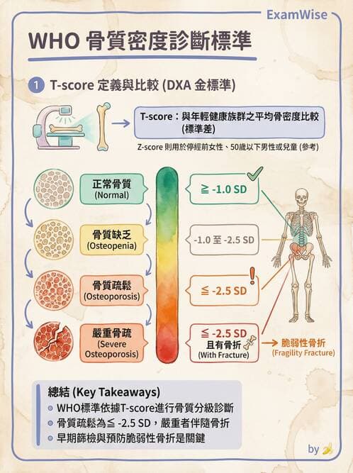 專師 - 骨折與骨質疏鬆 - AI 圖文解析預覽