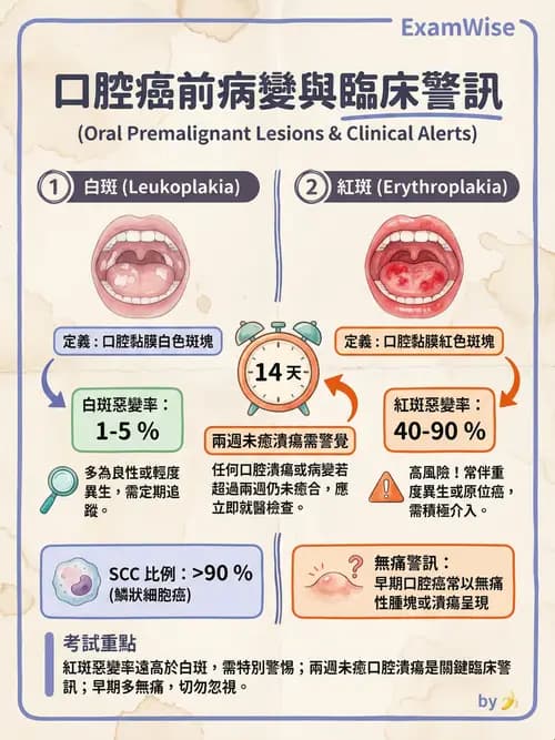 專師 - 頭頸腫瘤與甲狀腺 - AI 圖文解析預覽
