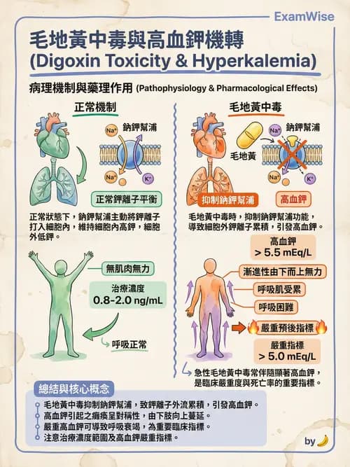 專師 - 鉀離子異常 - AI 圖文解析預覽