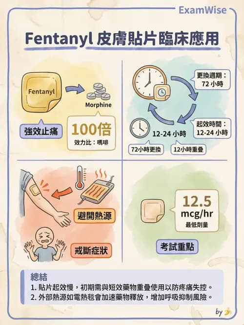 專師 - 疼痛控制與止痛藥物 - AI 圖文解析預覽