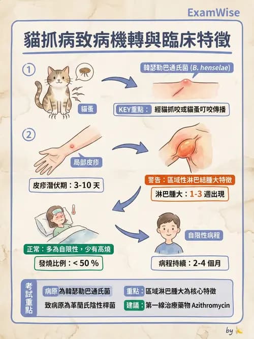 專師 - 皮膚軟組織感染 - AI 圖文解析預覽