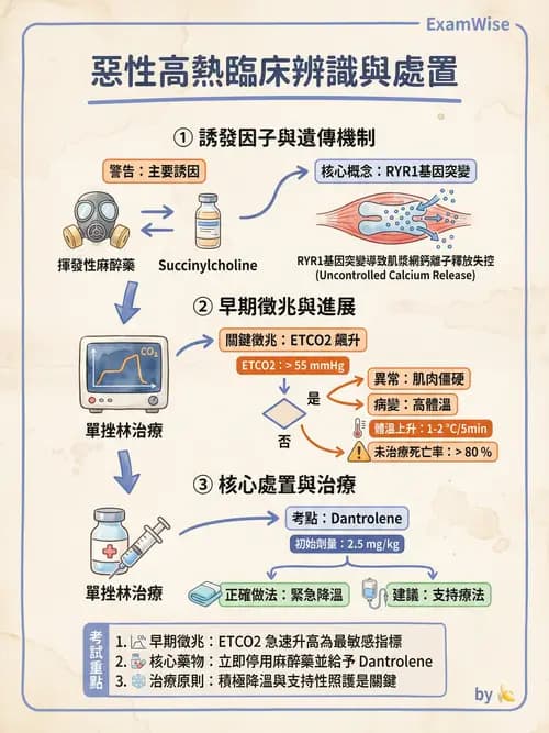 專師 - 麻醉與術後併發症 - AI 圖文解析預覽