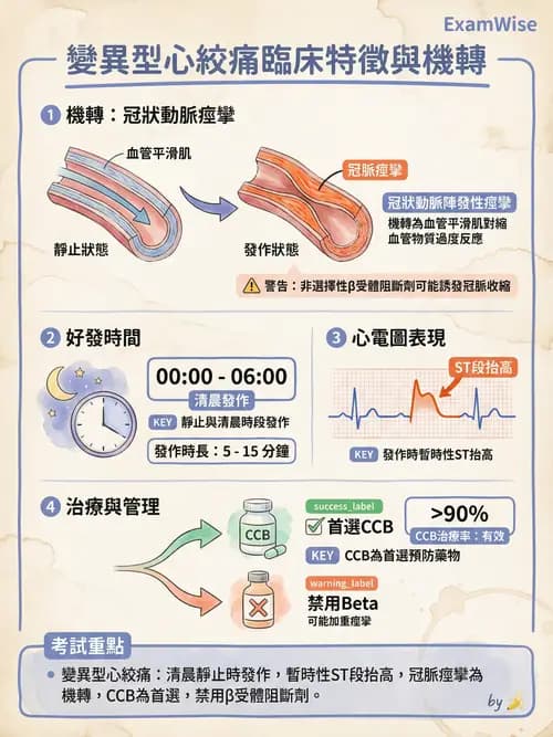 專師 - 冠心病危險因子與預防 - AI 圖文解析預覽