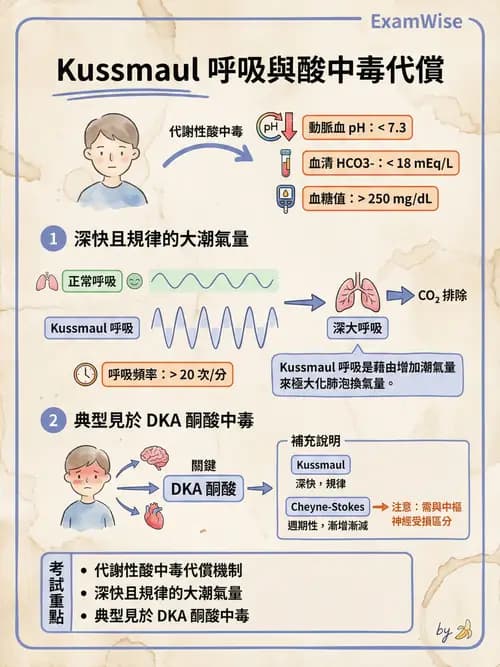 專師 - 糖尿病急症 - AI 圖文解析預覽