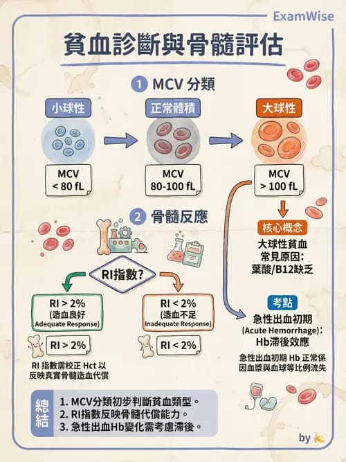 專師 - 血液疾病 - AI 圖文解析預覽