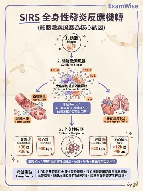 專師 - 敗血症診斷與評估工具 - AI 圖文解析預覽