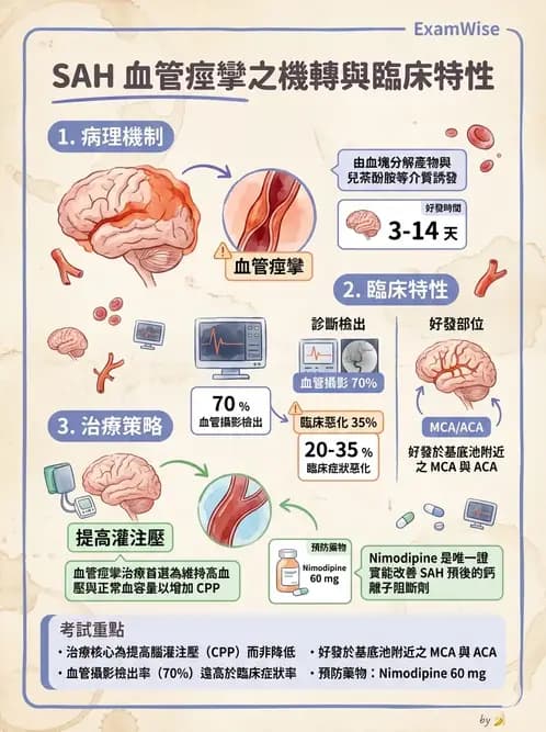 專師 - 蜘蛛膜下腔出血與腦腫瘤 - AI 圖文解析預覽