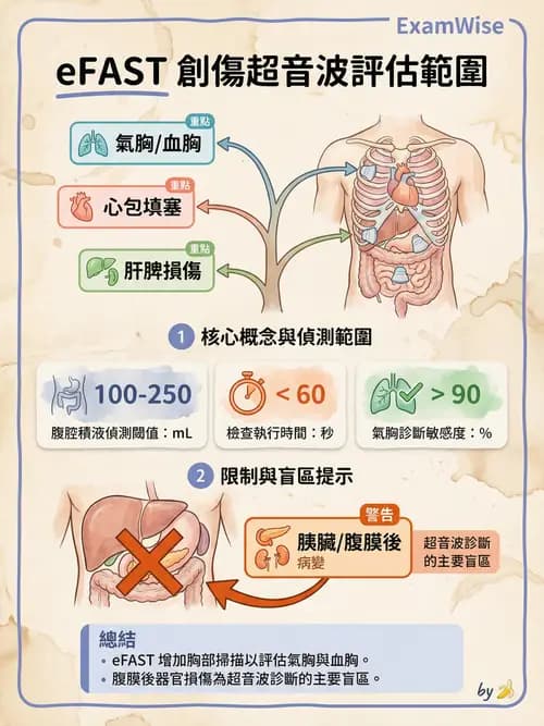 專師 - 胸腹部創傷 - AI 圖文解析預覽