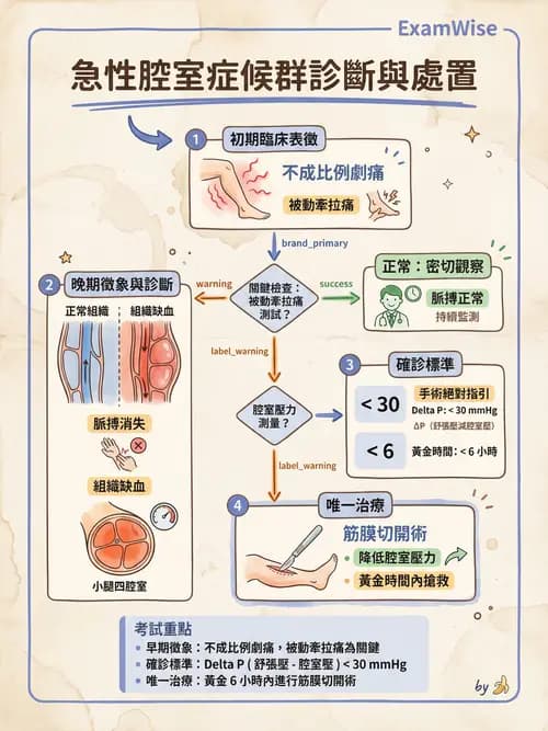 專師 - 骨折併發症與骨腫瘤 - AI 圖文解析預覽