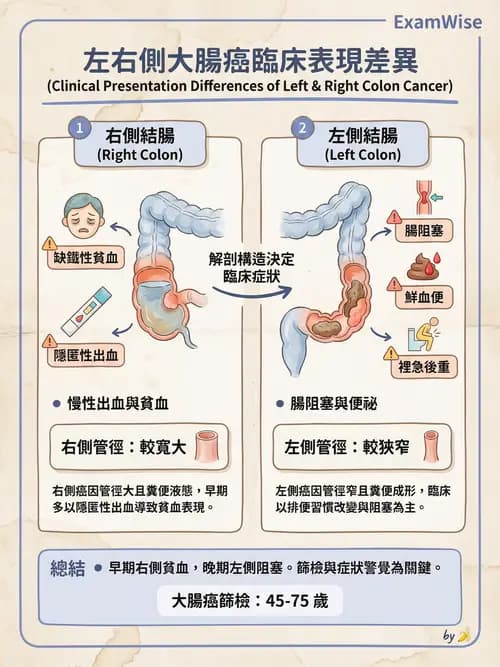 專師 - 大腸直腸癌與息肉 - AI 圖文解析預覽