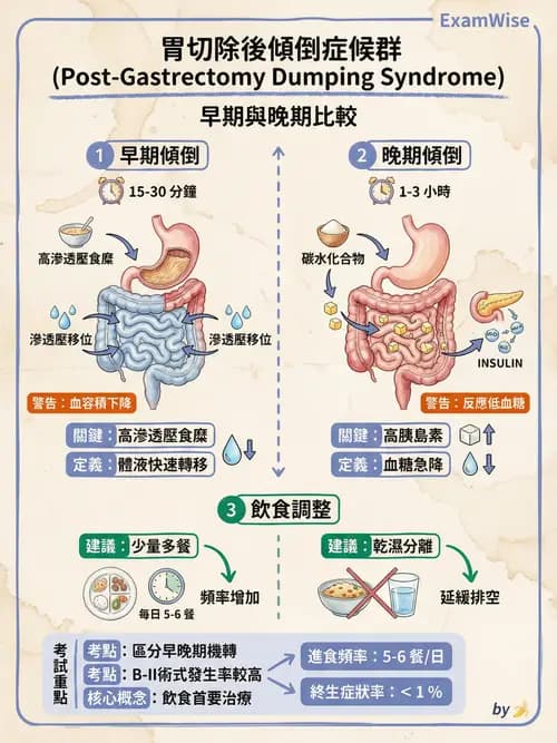 專師 - 上消化道與減重外科 - AI 圖文解析預覽