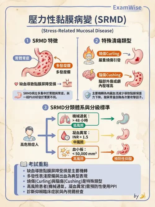 專師 - 上消化道與減重外科 - AI 圖文解析預覽