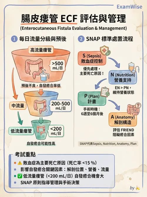 專師 - 闌尾炎與腸道外科 - AI 圖文解析預覽