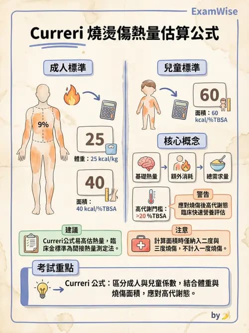 專師 - 營養學 - AI 圖文解析預覽
