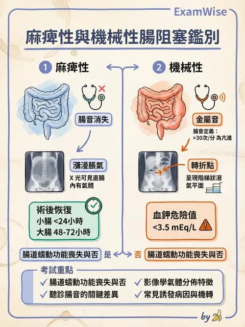 專師 - 闌尾炎與腸道外科 - AI 圖文解析預覽