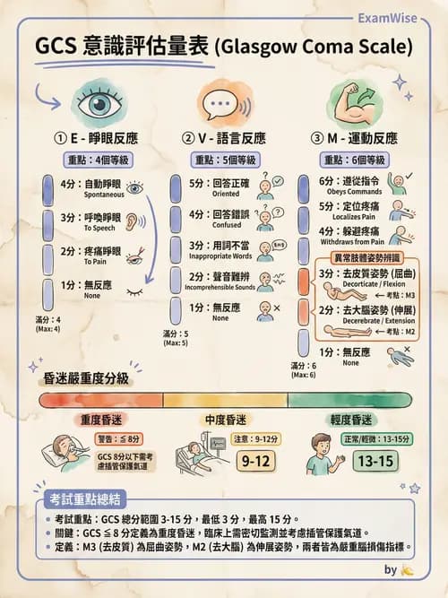 專師 - 頭部外傷與顱內壓 - AI 圖文解析預覽