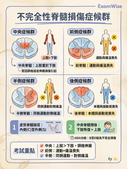 專師 - 頭部外傷與顱內壓 - AI 圖文解析預覽