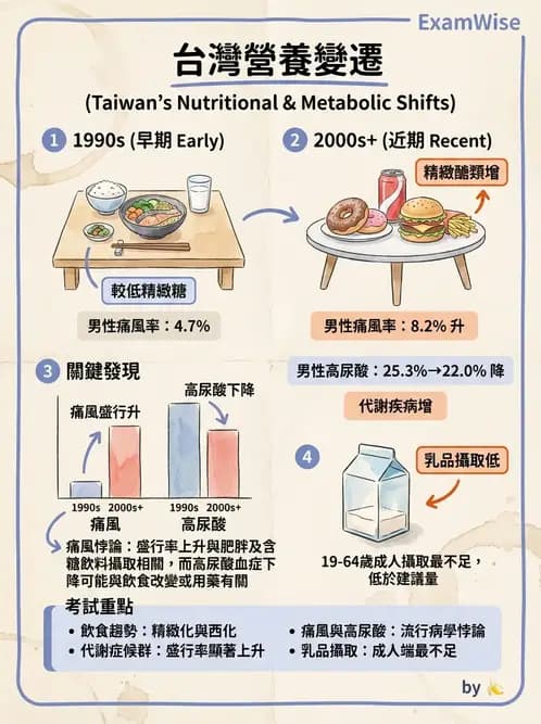營養 - 國民營養現況與慢性病趨勢 - AI 圖文解析預覽